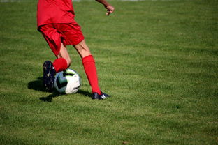 安博体育官网-体育新闻中心构建体育赛事全媒体传播体系,体育赛事的媒体宣传需要向媒体经营单位直接支付费用 第3张